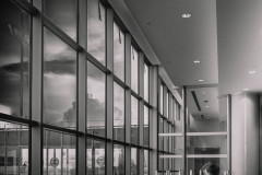 DSCF2129