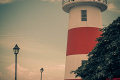 DSCF4022