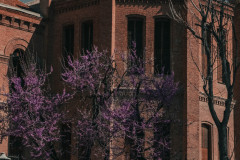 DSCF4889