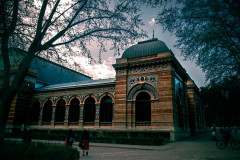 DSCF4939