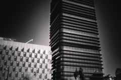 DSCF4979