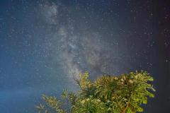 WhatsApp-Image-2025-08-05-at-17.25.08_973f2b40