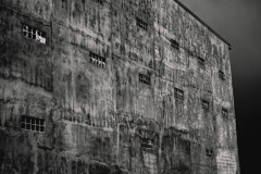 DSCF2091