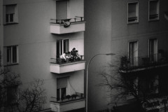 DSCF5350