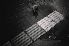 DSCF6533