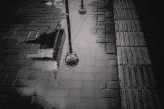 DSCF6534