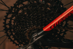 CMP00638-1