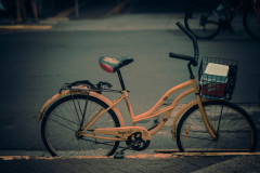 DSCF3810