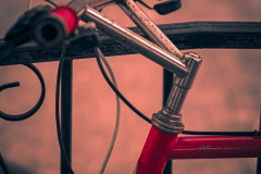 DSCF3923