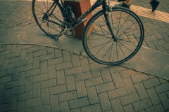 DSCF4342