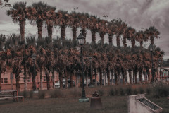 DSCF0504