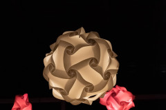 DSCF0556