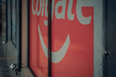 DSCF3684