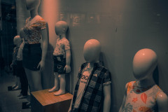 DSCF5684