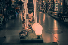 DSCF5705