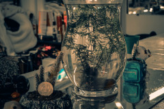 DSCF5805