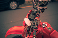 DSCF3528