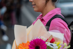 DSCF9239