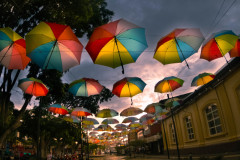 DSCF3452